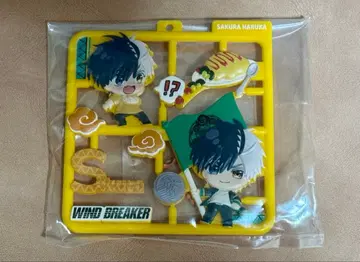 WIND BREAKER  사쿠라 하루카
