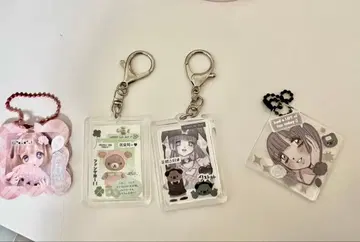 도미 월드 메링 한국 씰