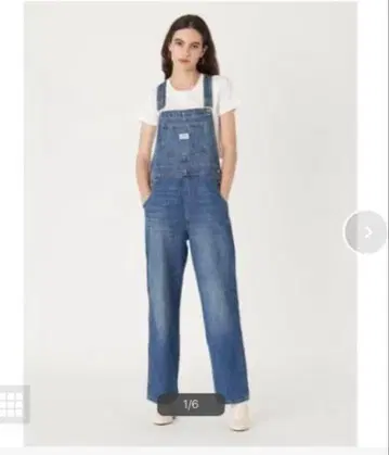 리바이스 오버롤
