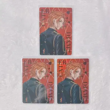 트위스테 오로라 카드 케이트