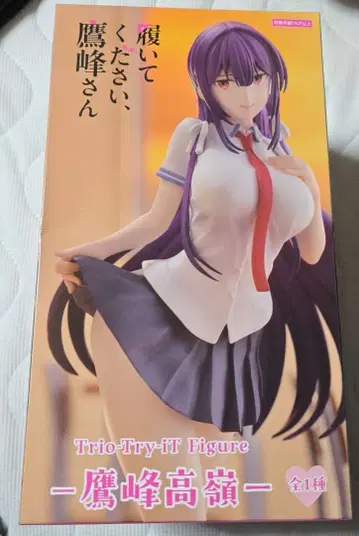 트리오-트라이-아이티 피규어 신어주세요, 타카미네 씨 타카미네 타카네