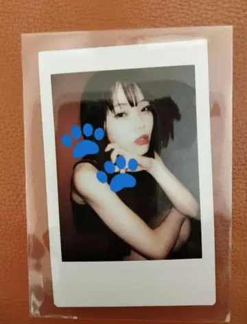 아이나 지 엔드 폴라로이드 혁명 도중