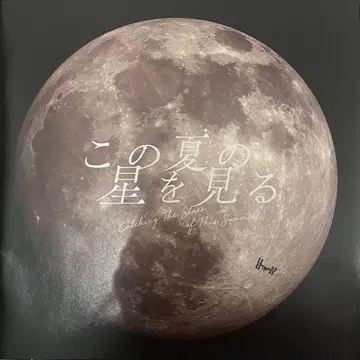 이 여름의 별을 보다 팜플렛