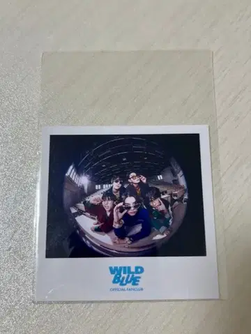 wildblue 폴라로이드풍 카드