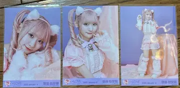 이코럽 사이토 쥬라 고양이 브로마이드 컴프