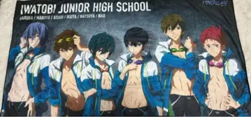 하이 스피드! Free! 극세사 BIG 타월 나나세 하루카