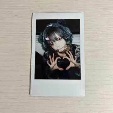 하야테 할로윈 폴라로이드