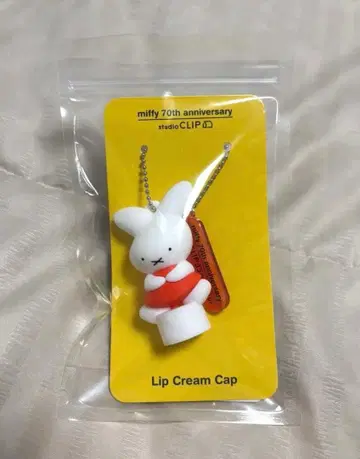 스튜디오 클립 미피