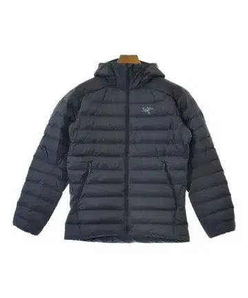 아크테릭스 다운 자켓/다운 베스트 남성용