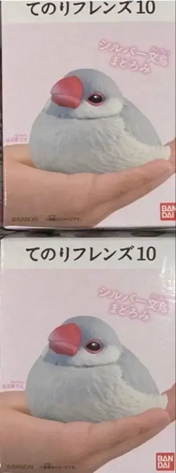 테노리 프렌즈 10 실버 모란앵무 잠자는 모습 2개 세트 미개봉 새상품