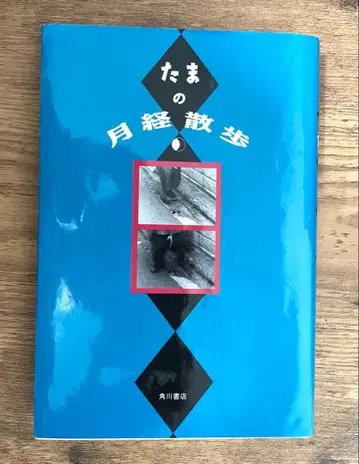 [ 레어 ] 가끔의 월경 산책