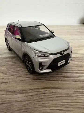 라이즈 미니카 컬러 샘플