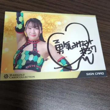 사인 카드 프로레슬러