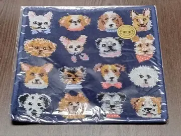 10일까지 한정판 페이러 도기