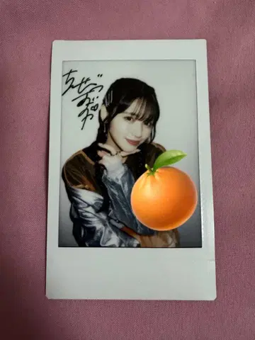 FRUITSZIPPER 진세이 스즈카 란 폴라로이드 친필 사인 포함