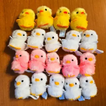 삐요리나 노멀 병아리 옐로우 컬러 화이트 핑크 병아리 덕분