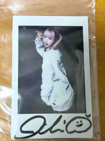 슈뢰딩거의 개 이치 친필 사인 폴라로이드