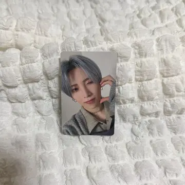 &TEAM 앙콘 YUMA 유우마 트레이딩 카드 FC 한정판 멤버십