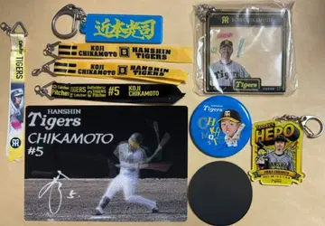 한신 타이거즈 긴치카 코지 선수 굿즈 9점 세트