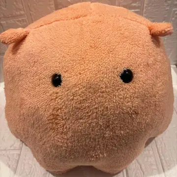 FANS 멘다코 봉제 인형 XL 프리미엄 DX 민트