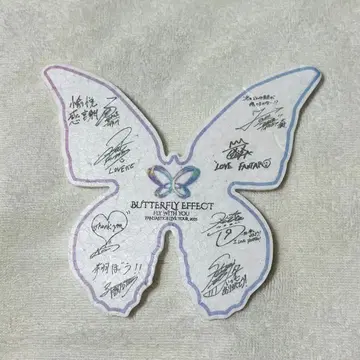 BUTTERFLY EFFECT 2025 fantastics 은테 나비