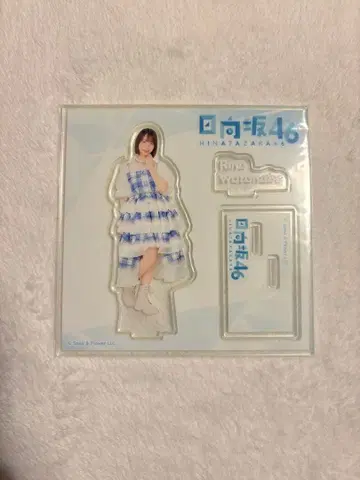 히나타자카46 제일복권 아크릴 스탠드 와타나베 리나