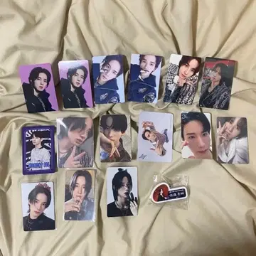 사토 케이고 묶음 판매