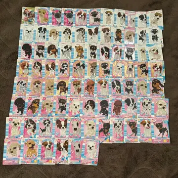 완타메 완타메 카드