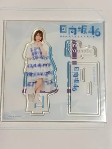 히나타자카46 복권 아크릴 스탠드상 와타나베 리나