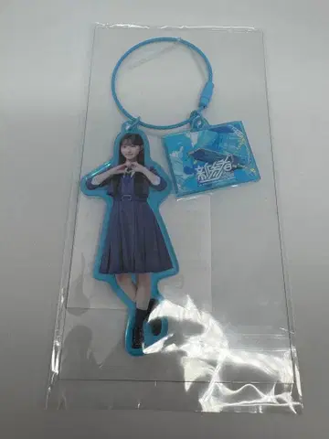 히나타자카46 신참자 아크릴 참 가타야마 사키