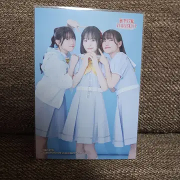 하스노소라 사쿠라이 히나 하야마 후우카 쿠루스 린 브로마이드