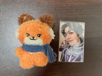 제베원 제로니 겨울 그이 소쿠마슈 메튜 튜니니 덤 트레이딩 카드 포함