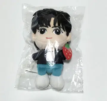 BUDDiiS TAKUYA 버디찬 봉제 인형 키링 중고