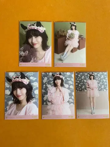 노기자카46 브로마이드 할로윈 2025년 5장 세트 하야시 루나