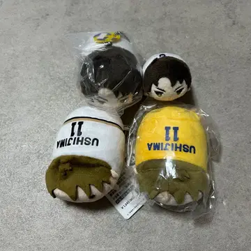 하이큐 노루캬라 우시지마 와카토시