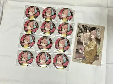 월하제 키사라기 코이 세트