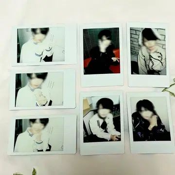 꿈 먹는 NEON XP!A 베어 도어드 나메 란 폴라로이드