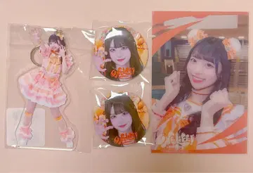 iLiFE! 코구마 마무