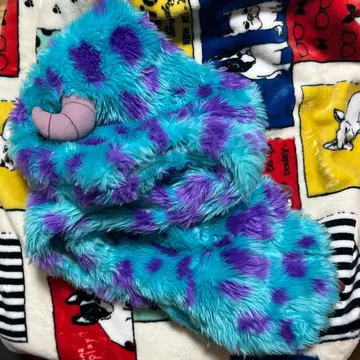 디즈니 샐리 팬캡