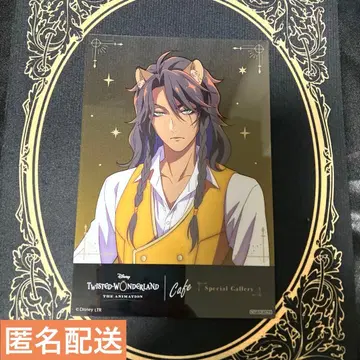 레오나 클리어 카드