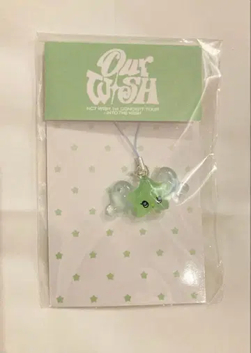 NCTWISH 미니 WICHU 키링