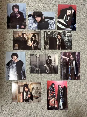 The Brow Beat 사진 세트 묶음 판매 5