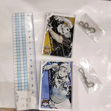 하이큐!! 도미노풍 아크릴 키링 오이카와의 전원 격파 2개 세트 미야 등