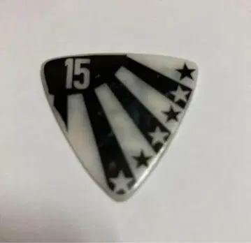 the GazettE REITA 피크 본인 기사용 15주년 벚꽃