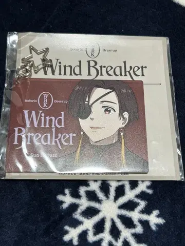 WINDBREAKER 윈브레 트윙클 키링 드레스업 소방