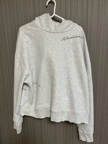 ALEXIA STAM Wellness Sweat Hoodie