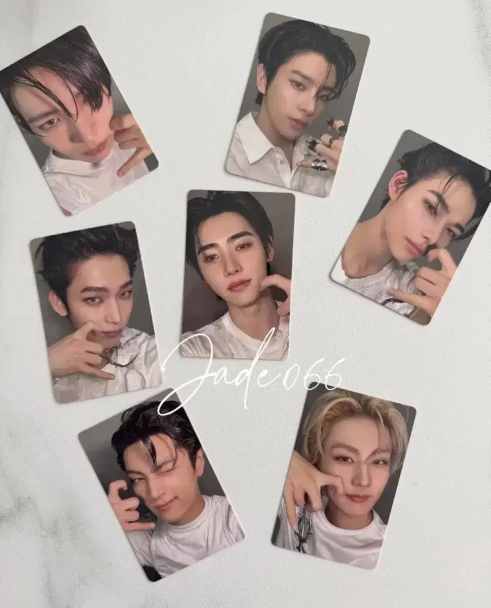 엔하이픈 이즈위 포카