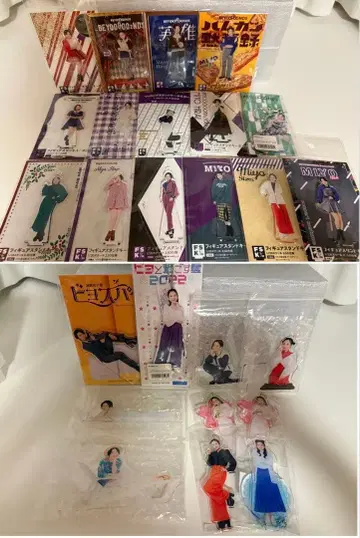 [ 낱개 판매 불가 ] 히라이 미요 fsk