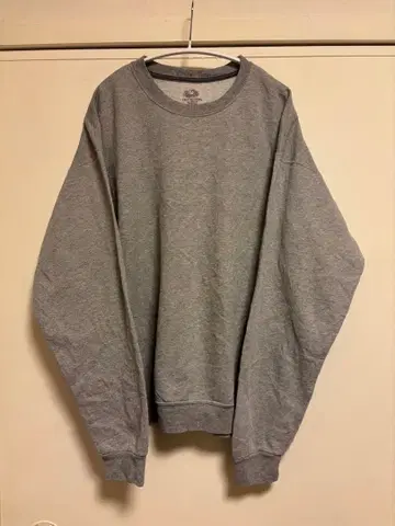 FRUIT OF THE LOOM 그레이 XL 맨투맨