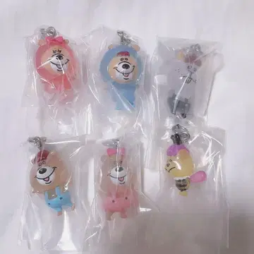 쿠마탕 메지루시 액세서리 전 6종 가챠 컴플리트 세트